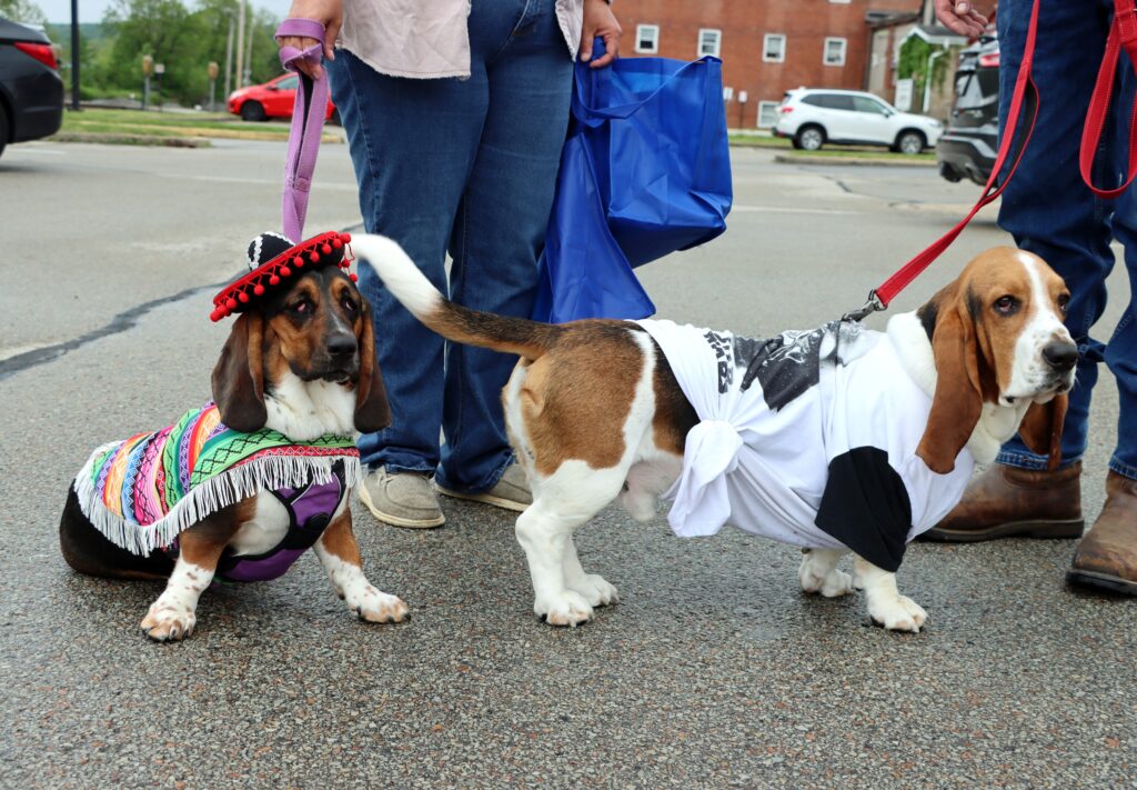 Mutt March In Monongahela - Mon Valley Independent